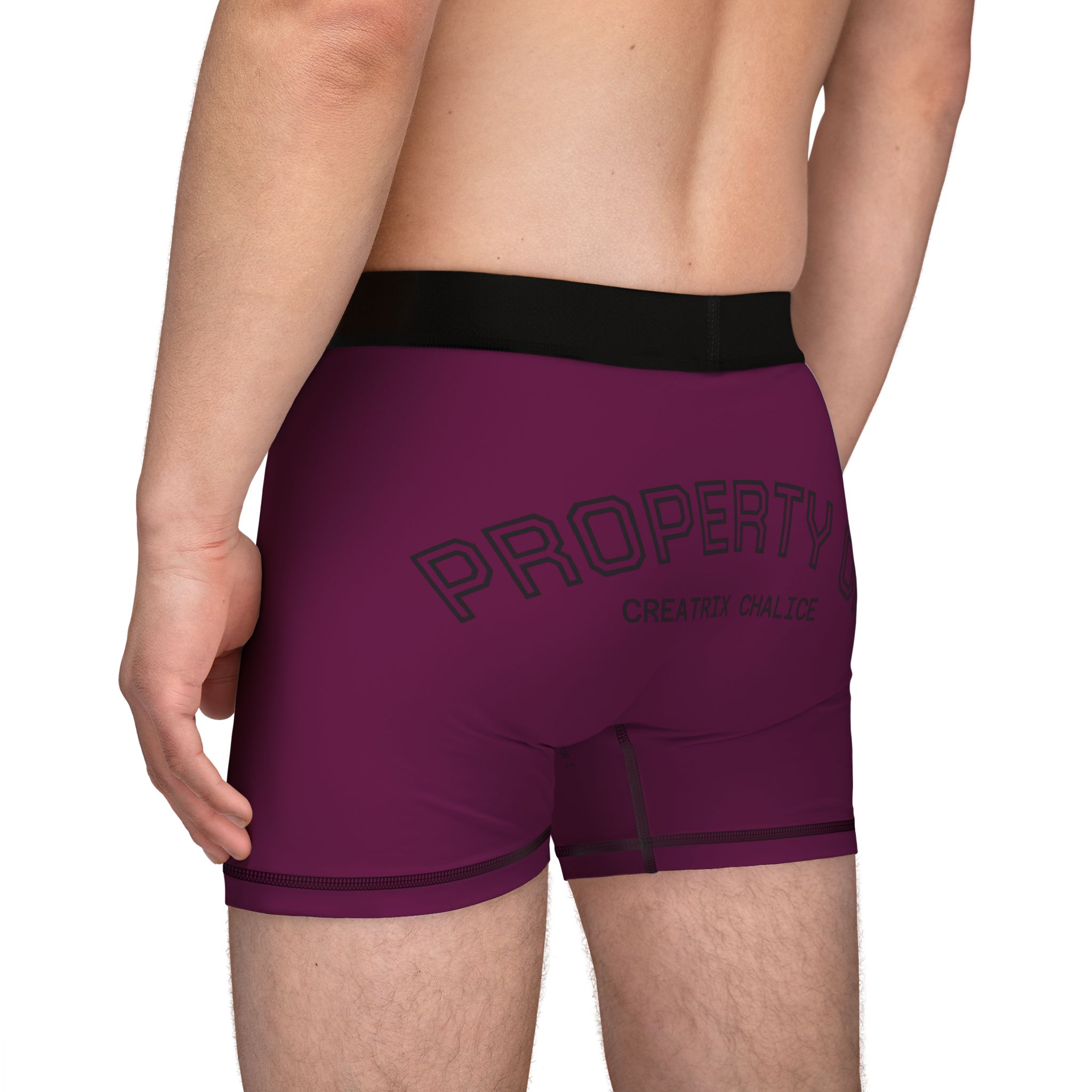 Locked Property of Creatrix Men's Boxers (Dark) - Image 7