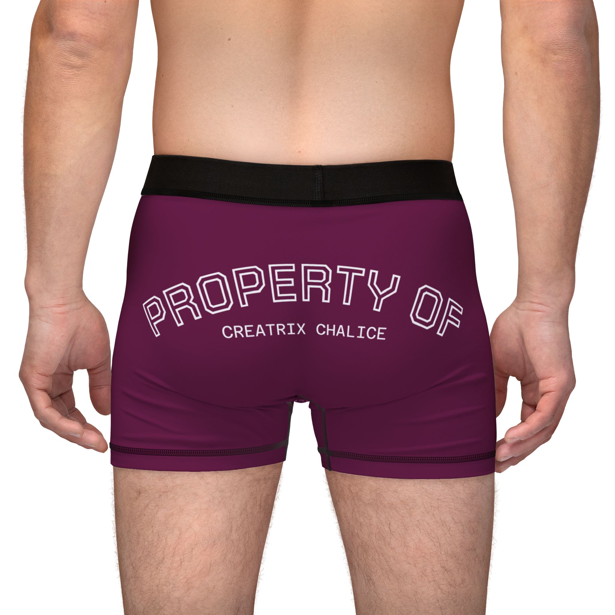Property of Creatrix Chalice Boxers (Light) - Image 6
