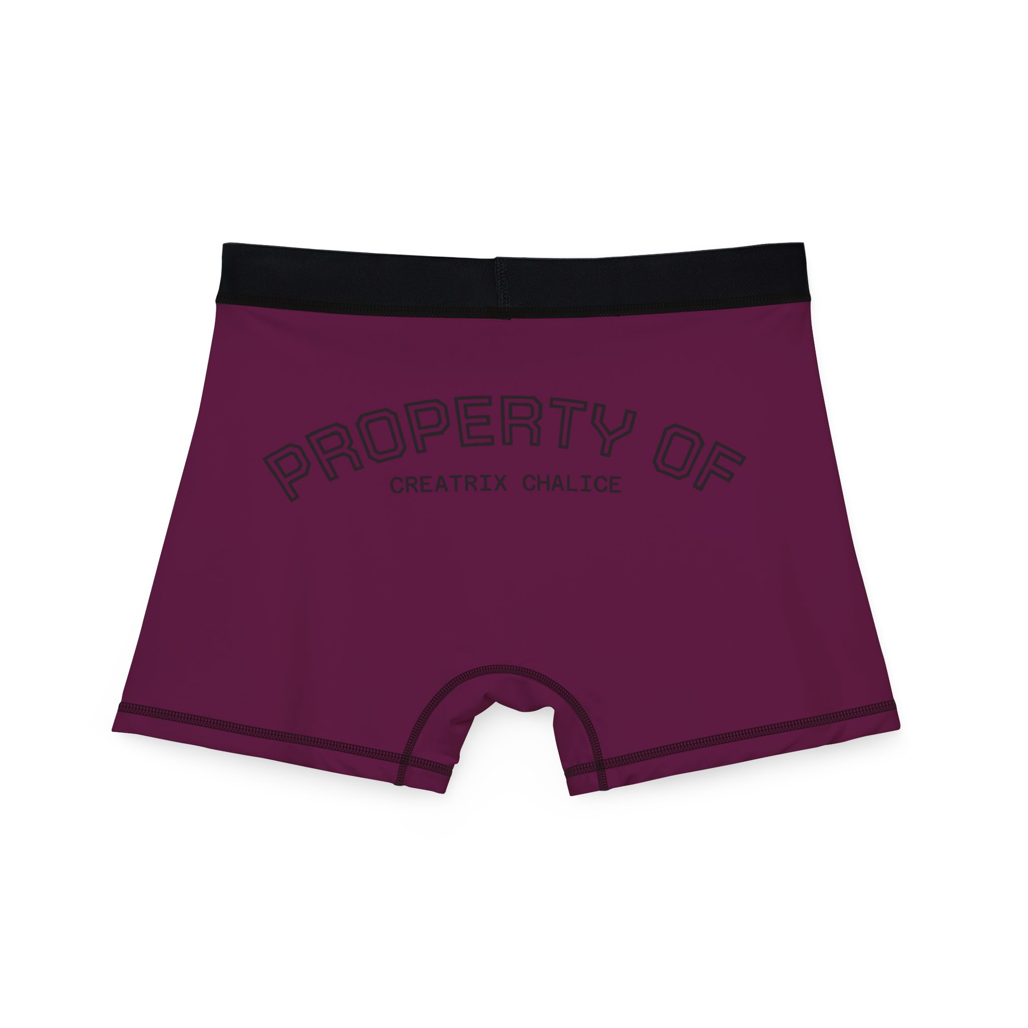 Locked Property of Creatrix Men's Boxers (Dark) - Image 3