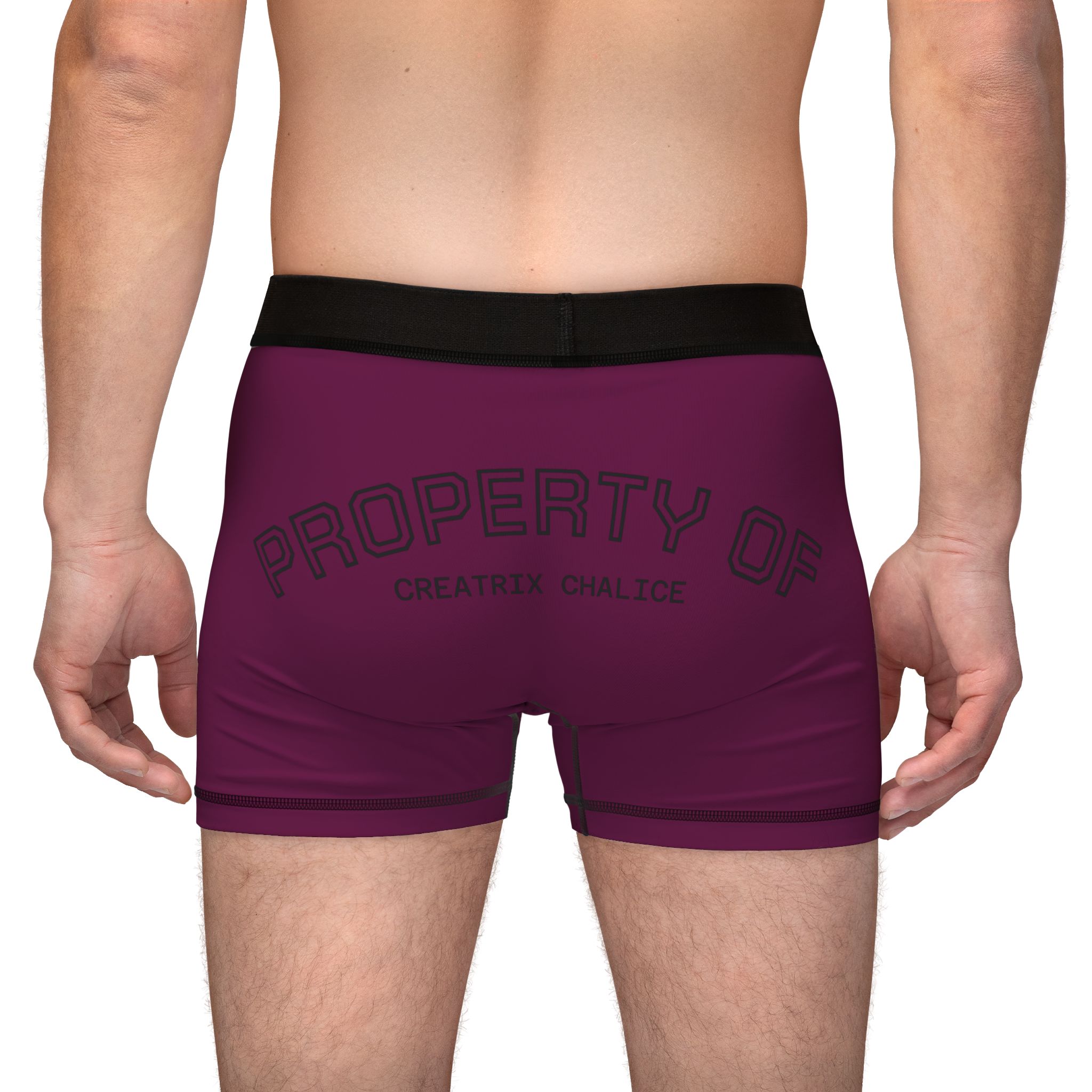 Locked Property of Creatrix Men's Boxers (Dark) - Image 6