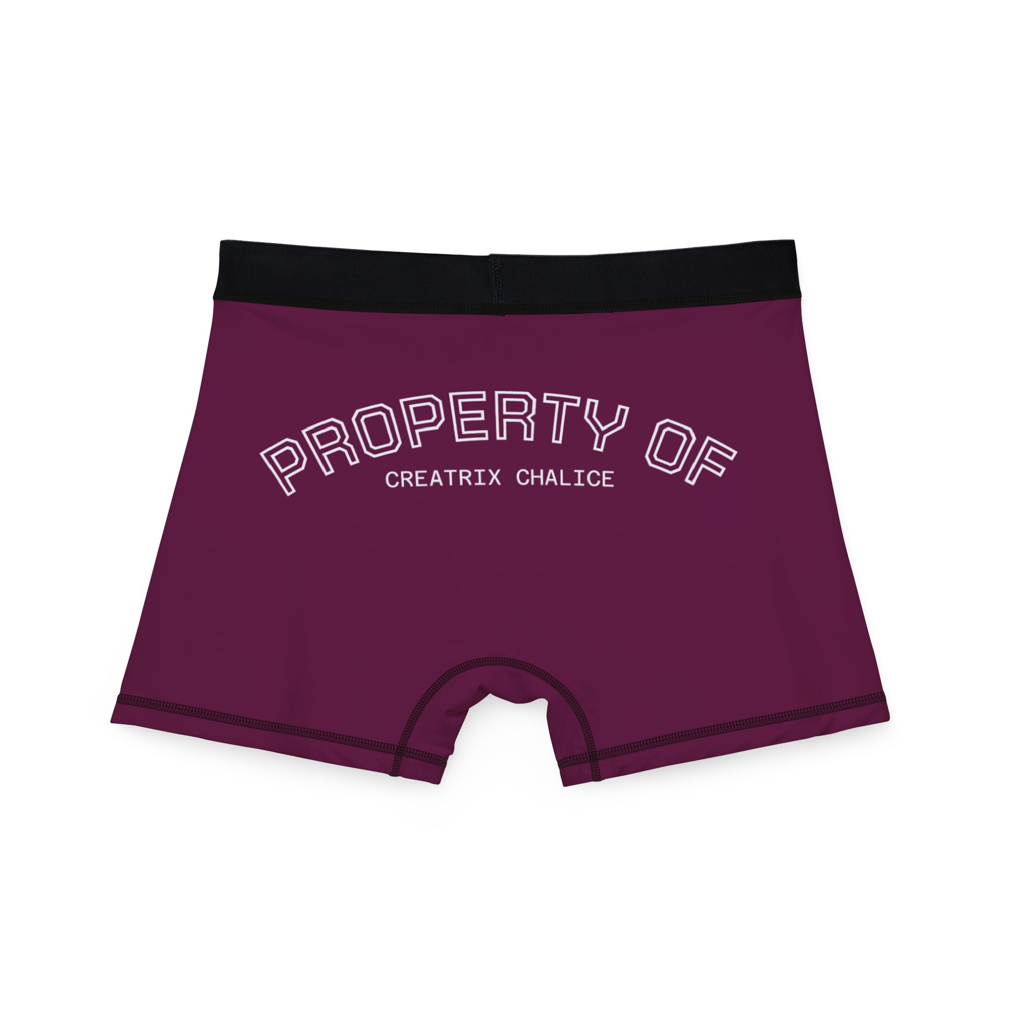 Locked Property of Creatrix Men's Boxers (Light) - Image 3