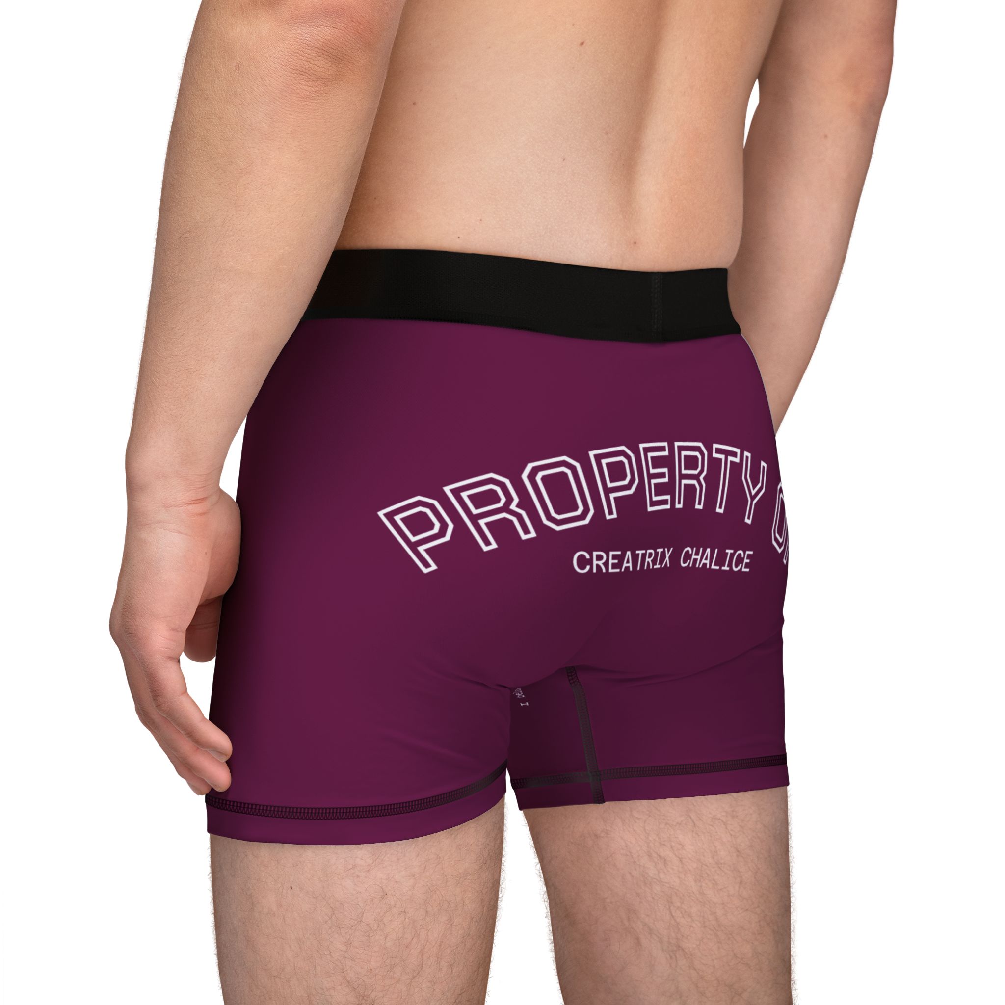 Locked Property of Creatrix Men's Boxers (Light) - Image 7